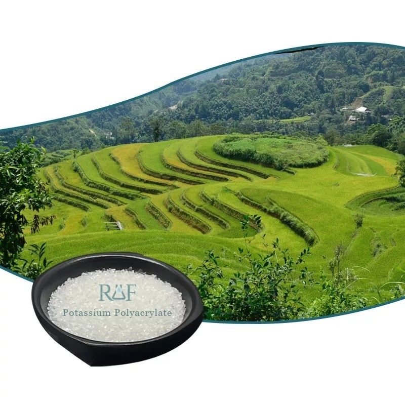 Agriculture Potassium Polyacrylate Hydrogel For Plants Superabsorbent Water Absorbing Crystals
